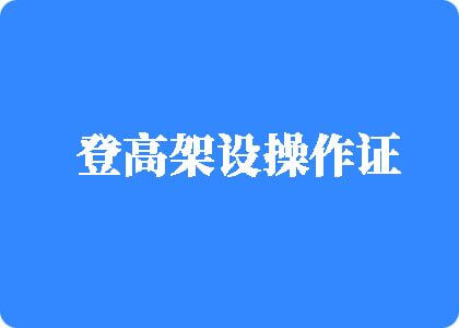 靠逼网站大全登高架设操作证