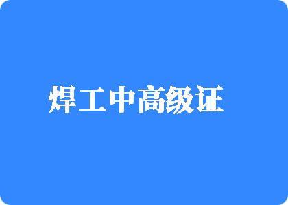 日韩鸡吧操逼焊工中高级证